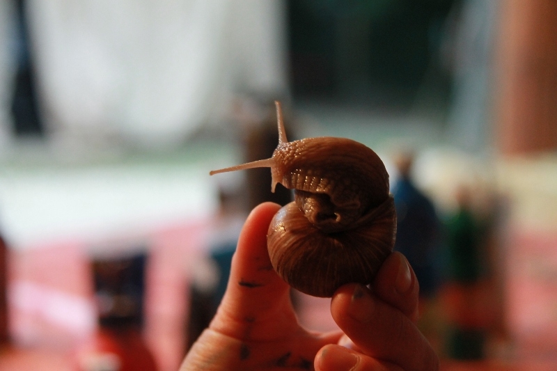 Village Camps International Summer Camp Ard&egrave;che, France 2019-07-26 https://www.villagecamps.com/journals_admin/images/647-11-18-07-2013.jpg lossless  (315).jpg